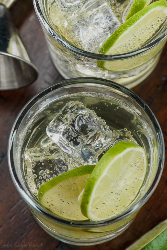 glass of the perfect gin and tonic with two lime slices