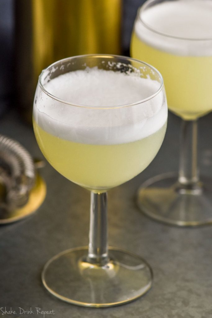 Gin Fizz Shake Drink Repeat