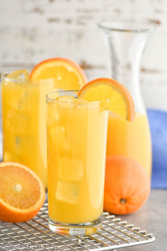 Glass filled with Screwdriver cocktail, garnished with an orange