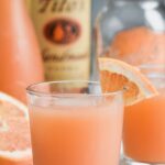 Two Glasses of Greyhound Cocktail with grapefruit wedge and ice and bottle of vodka and shaker in background