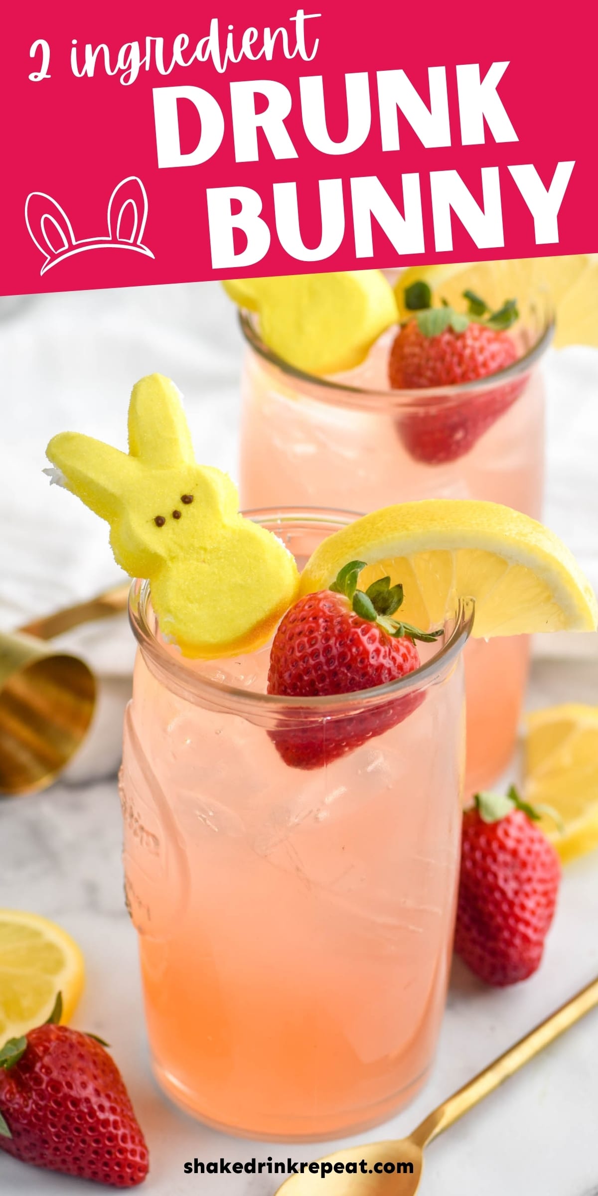 Drunk Bunny Shake Drink Repeat