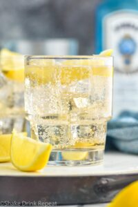 glass of gin and ginger ale with ice and lemon slices