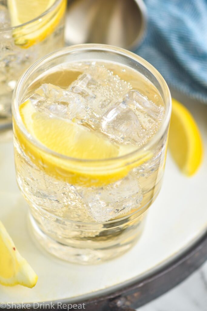 glass of gin and ginger ale with ice and lemon