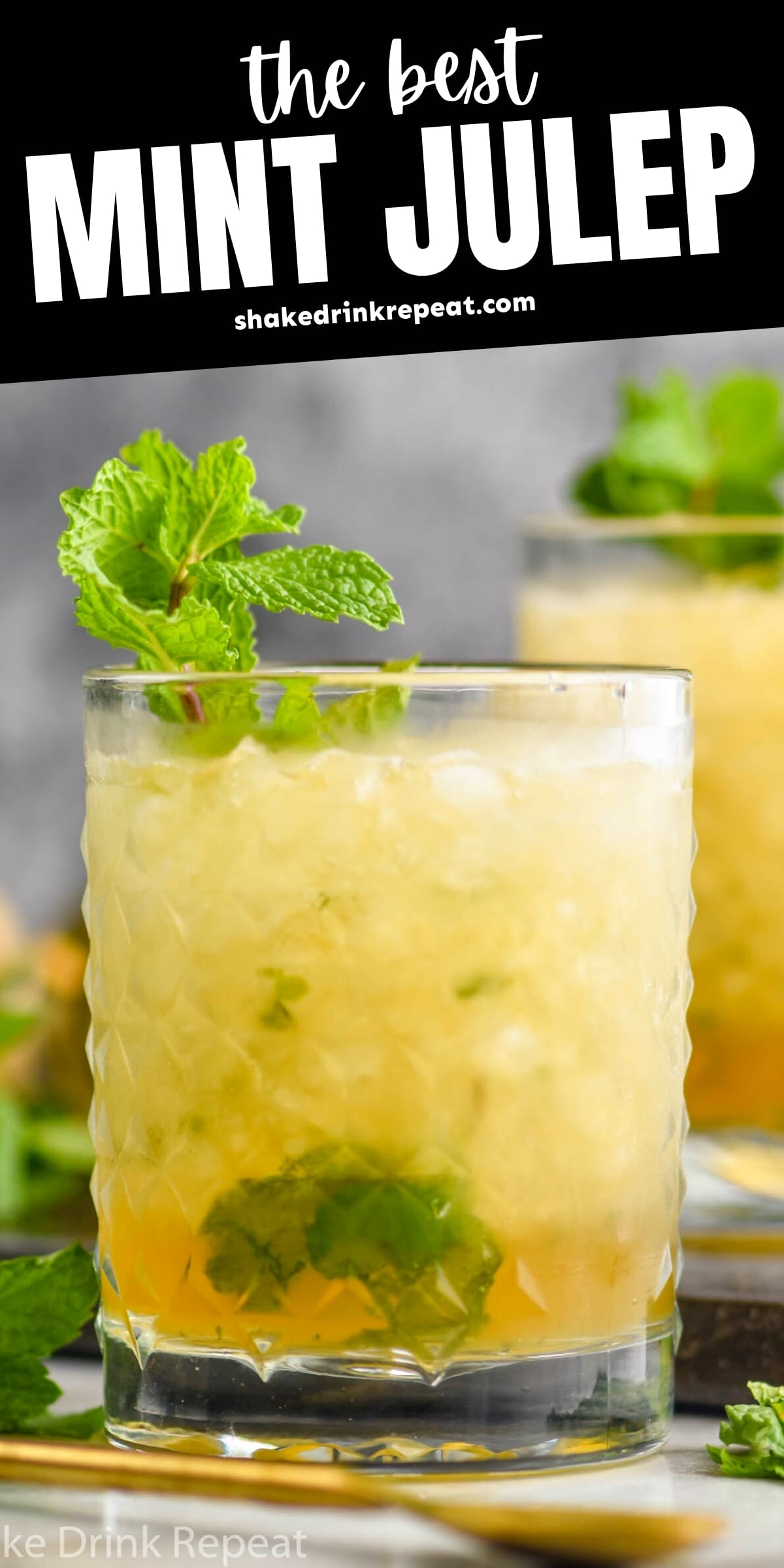 Mint Julep Shake Drink Repeat