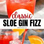 Sloe gin fizz recipe with orange slice and cherry garnish