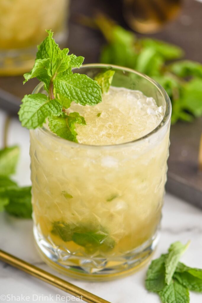 glass of mint julep cocktail recipe with mint garnish