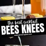 two glasses of bees knees cocktail with lemon twist and honey syrup