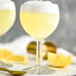 Gin Fizz cocktail in a glass