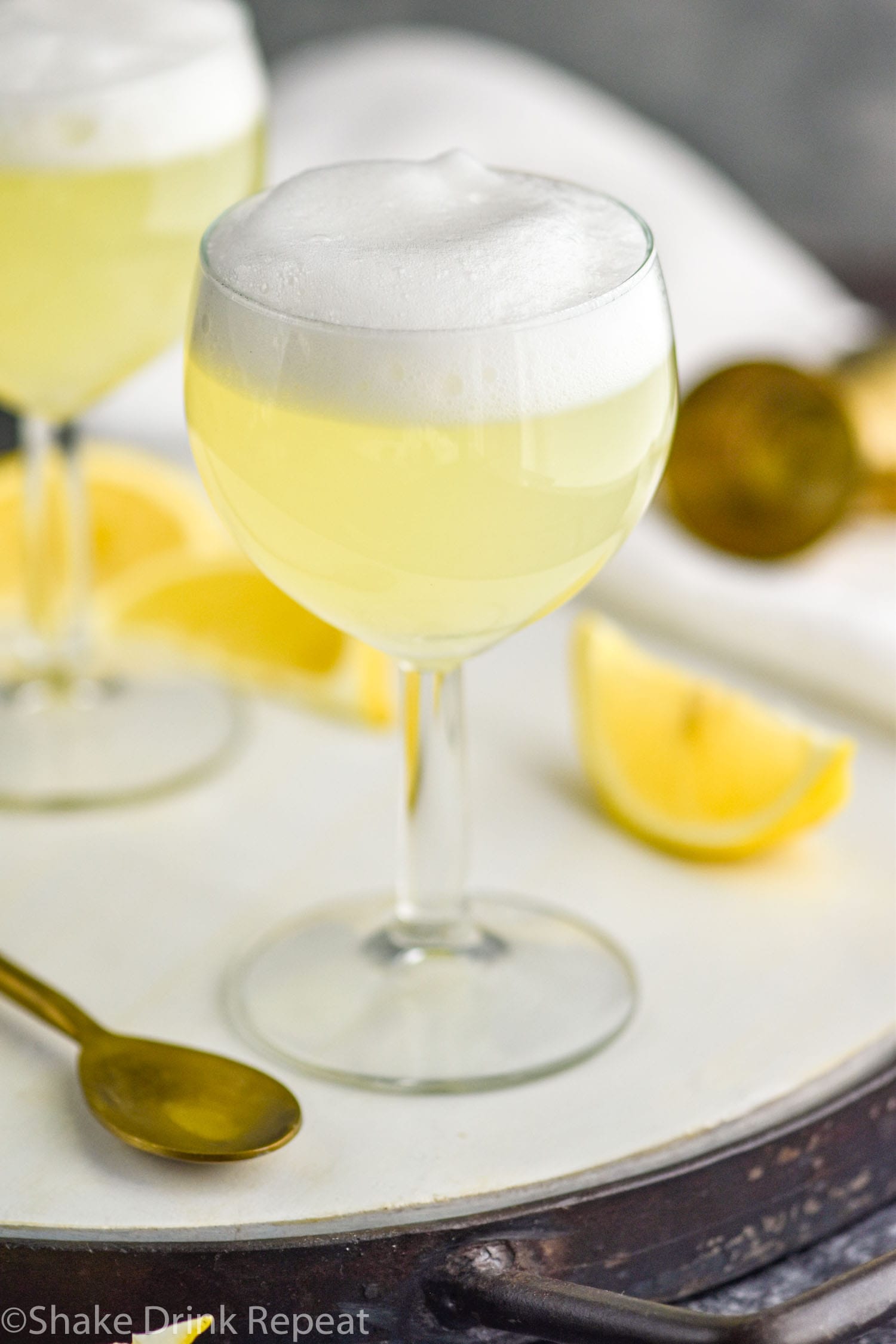 Gin Fizz Shake Drink Repeat