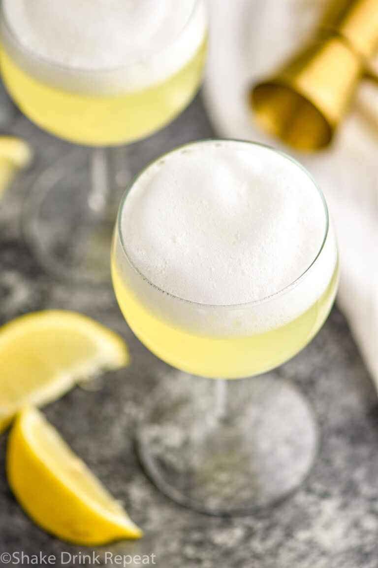 Gin Fizz Shake Drink Repeat