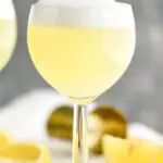 Gin Fizz cocktail in a glass