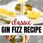 Gin Fizz cocktail in a glass and Gin Fizz recipe being poured into a glass