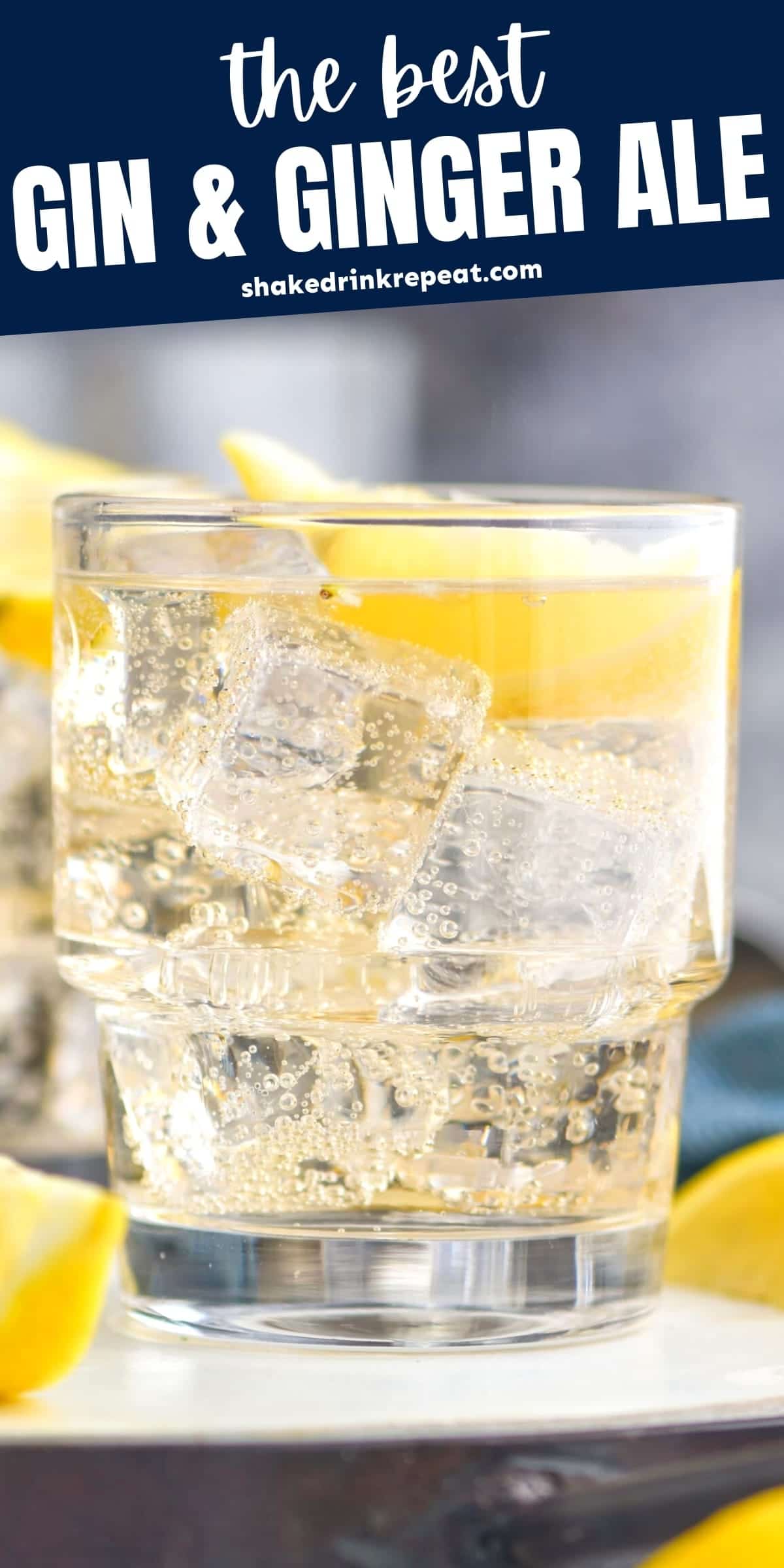 Gin and Ginger Ale Shake Drink Repeat
