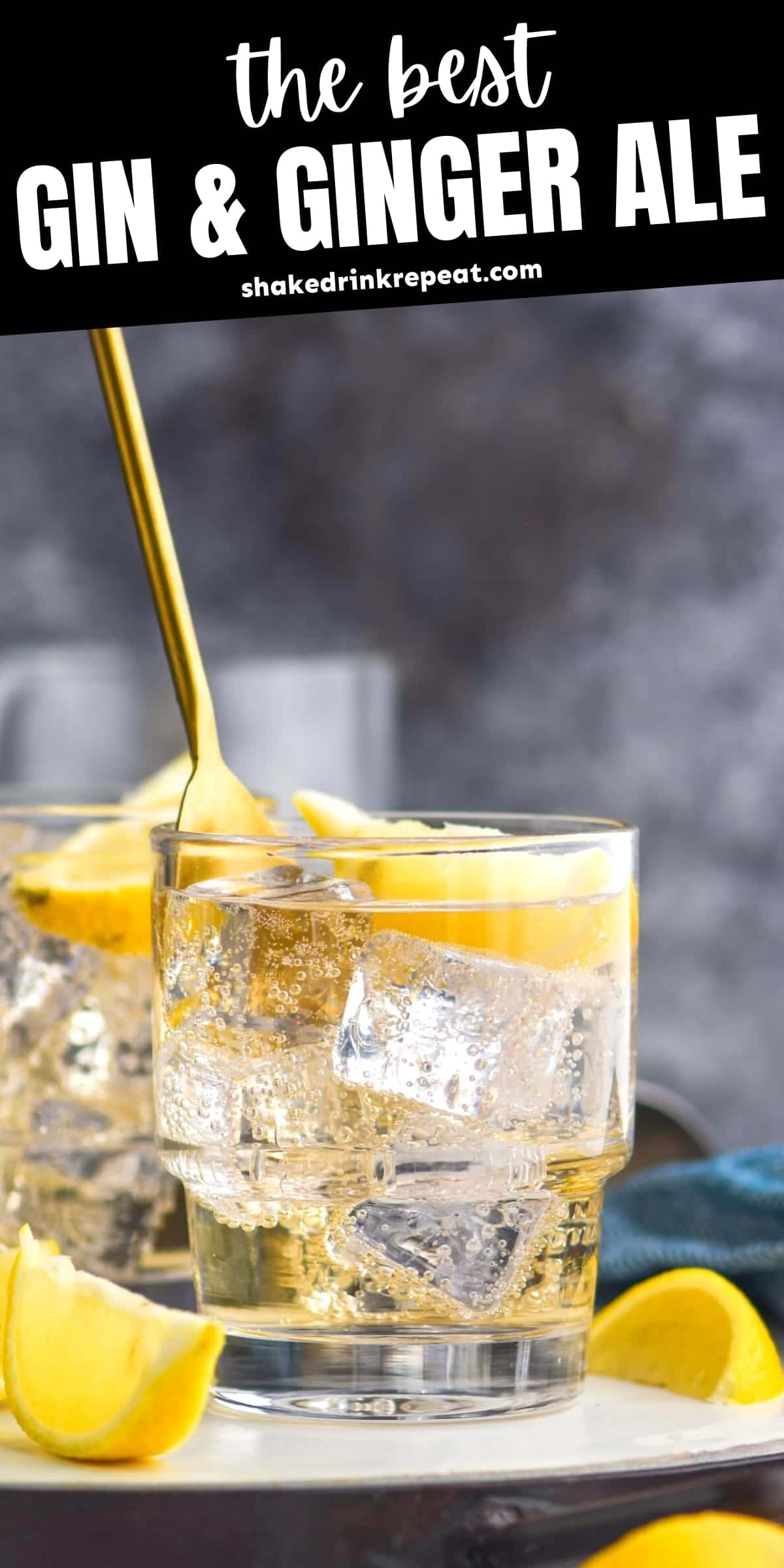 Gin and Ginger Ale Shake Drink Repeat