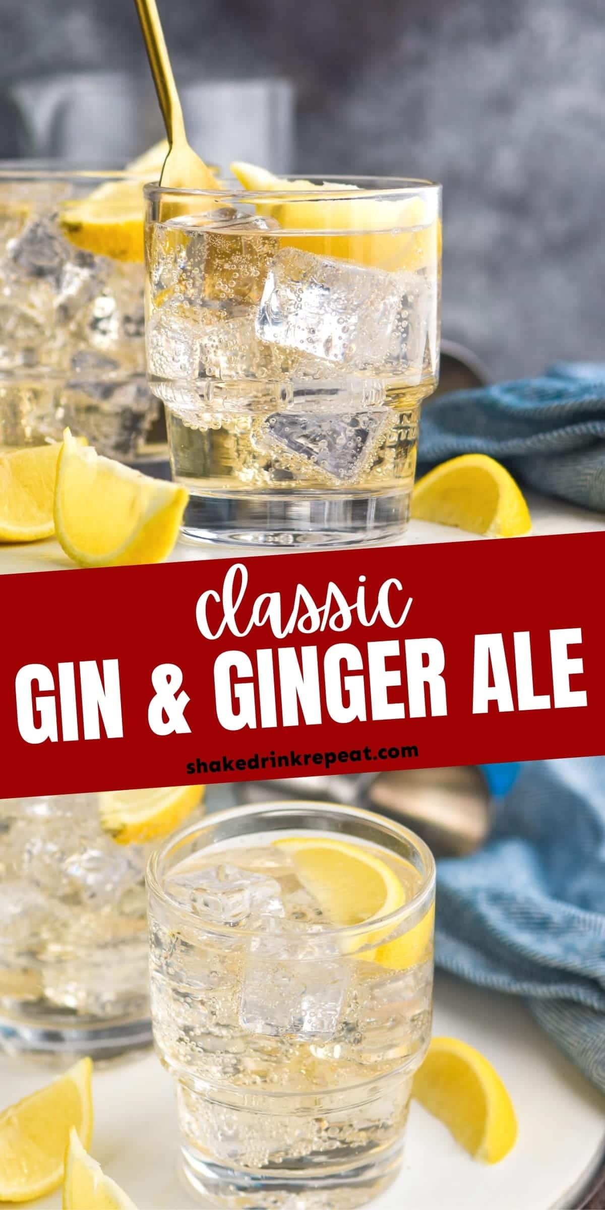 Gin and Ginger Ale Shake Drink Repeat