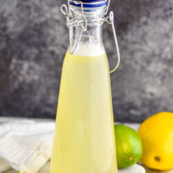 bottle of homemade margarita mix with fresh lemons and limes