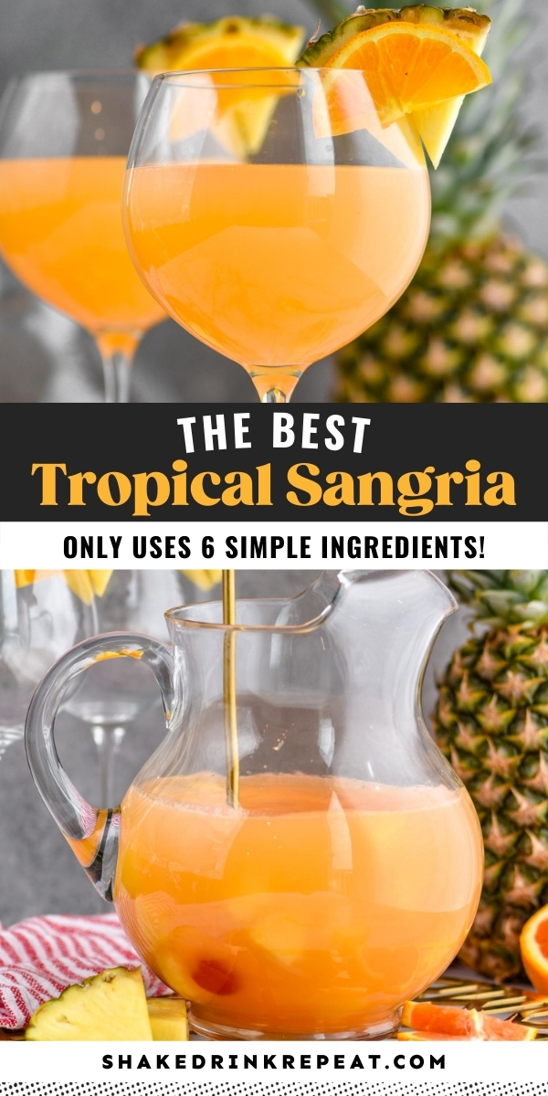 Tropical Sangria Shake Drink Repeat