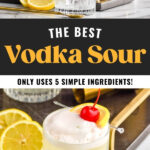 shaker pouring vodka soda ingredients into a rocks glass filled with ice and surrounded by fresh lemon slices. Glass of vodka sour with lemon and cherry garnish.