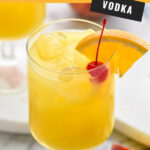 glass of Hairy Navel with ice, garnished with a cherry and orange slice, surrounded by straw and fresh peach slices