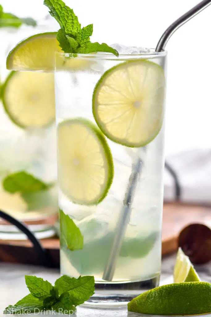 two glasses of Mojito with ice, straw, fresh mint leaves, and lime wedges