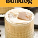 glass of Colorado Bulldog with ice surrounded by coffee beans