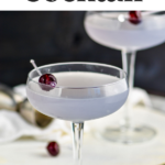 two glasses of Aviation cocktail recipe garnished with a cherry