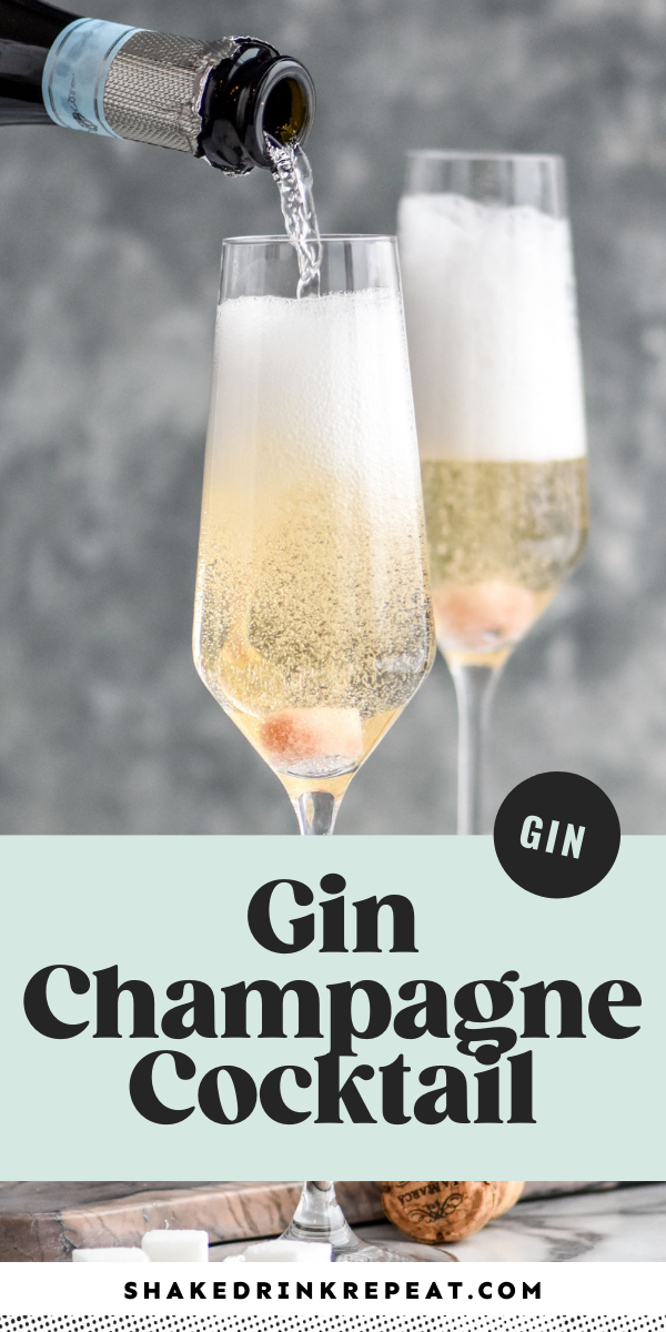 Gin Champagne Cocktail Shake Drink Repeat
