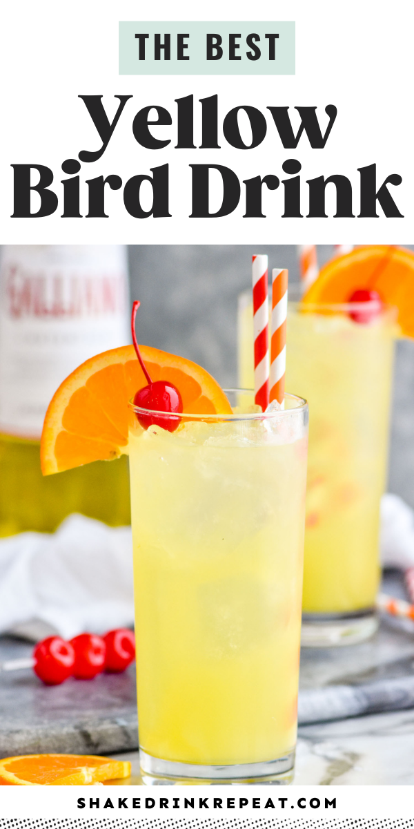 Yellow Bird Drink Shake Drink Repeat