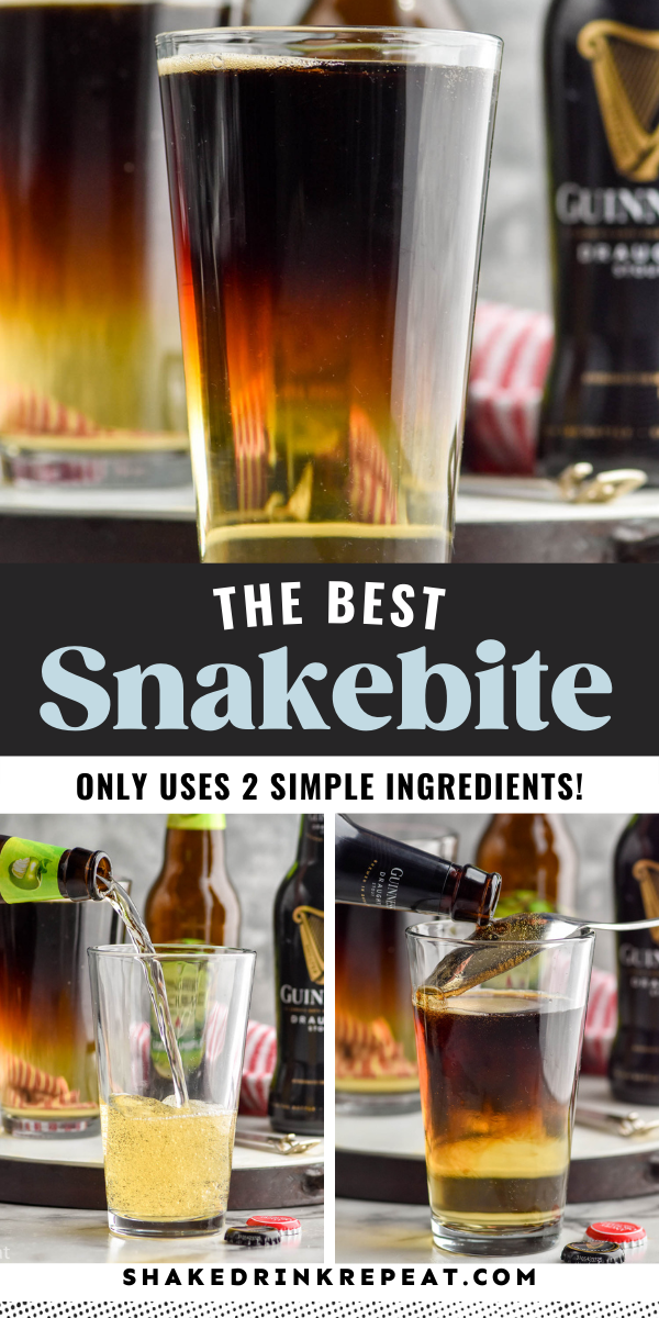 Snakebite - Shake Drink Repeat