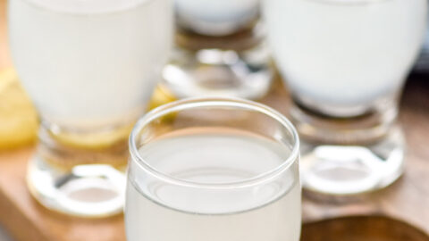 Four glasses of white tea shot recipe surrounded by lemon slices