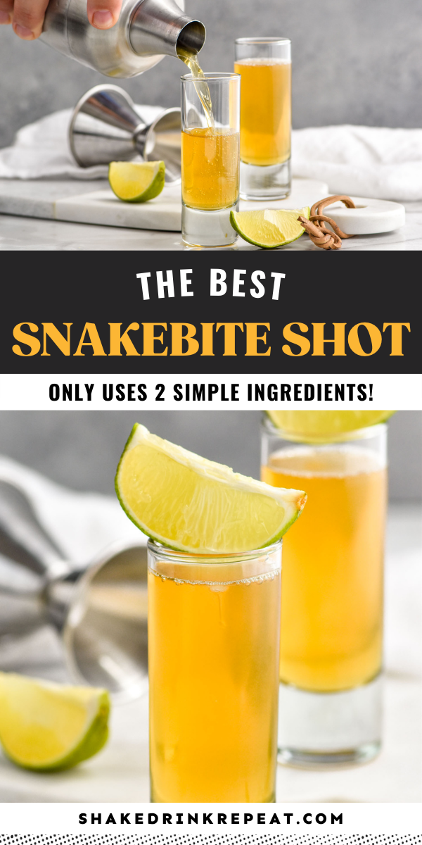 Snakebite Shot Shake Drink Repeat