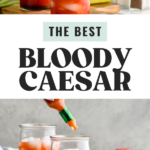 Pinterest graphic for Bloody Caesar recipe. Top image is photo of person's hand pouring Worcestershire sauce into a glass of ingredients for Bloody Caesar recipe. Salt, pepper, celery, and pickles in background for garnish. Bottom image shows Tabasco sauce being added to glass of ingredients for Bloody Caesar recipe. Salt, pepper, olives, pickles, and celery in background for garnish.Text says, "the best Bloody Caesar shakedrinkrepeat.com"